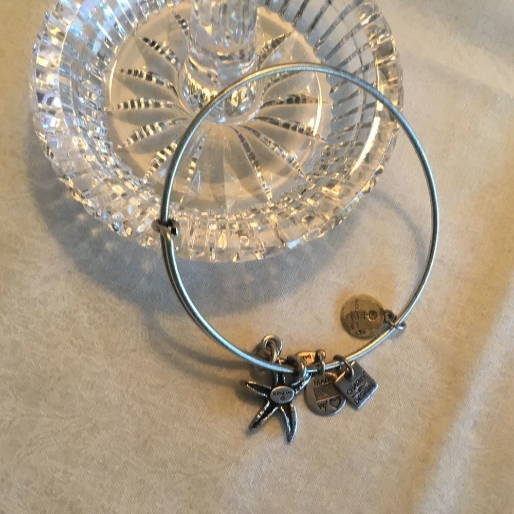 Alex & Ani Silvertone Bangle - Picture 4 of 7